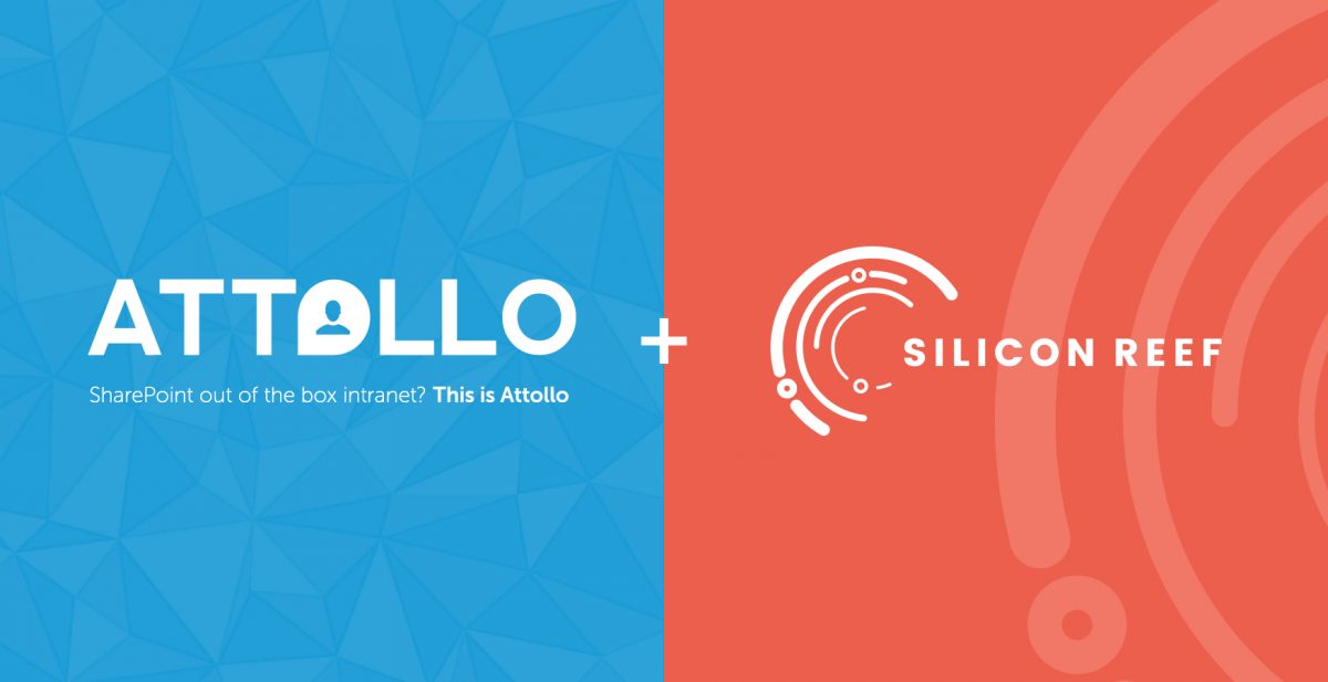 Attollo Intranet & Silicon Reef Partnership